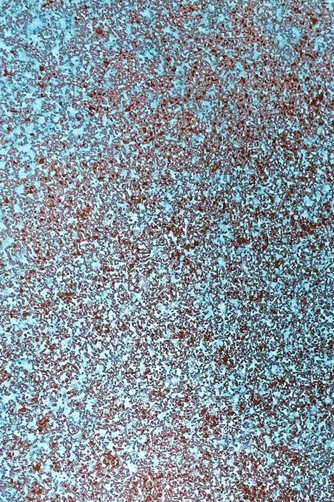 Musterfläche Venedig: hellblau-türkise patina mit rotbraunen kupferstellen